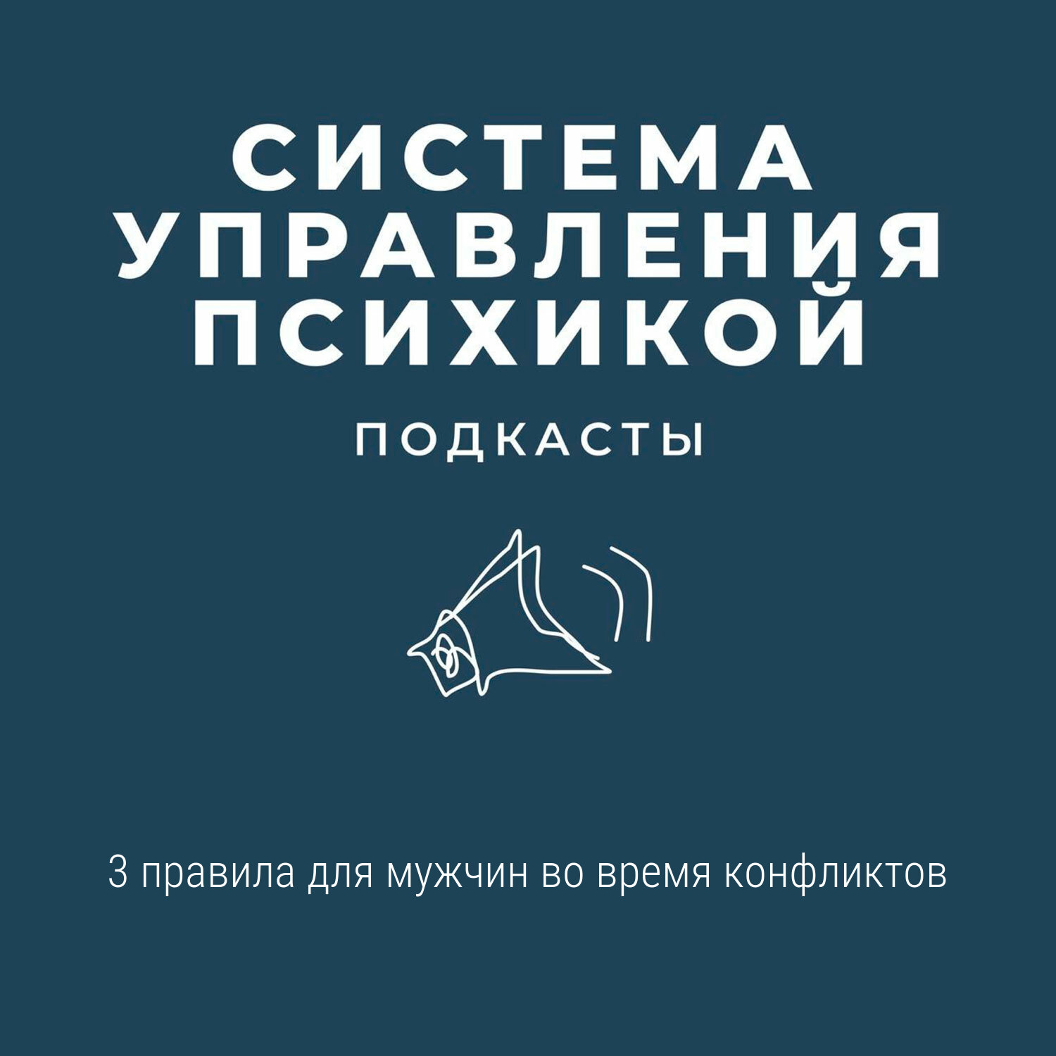 3 правила для мужчин во время конфликтов и кризисов episode artwork