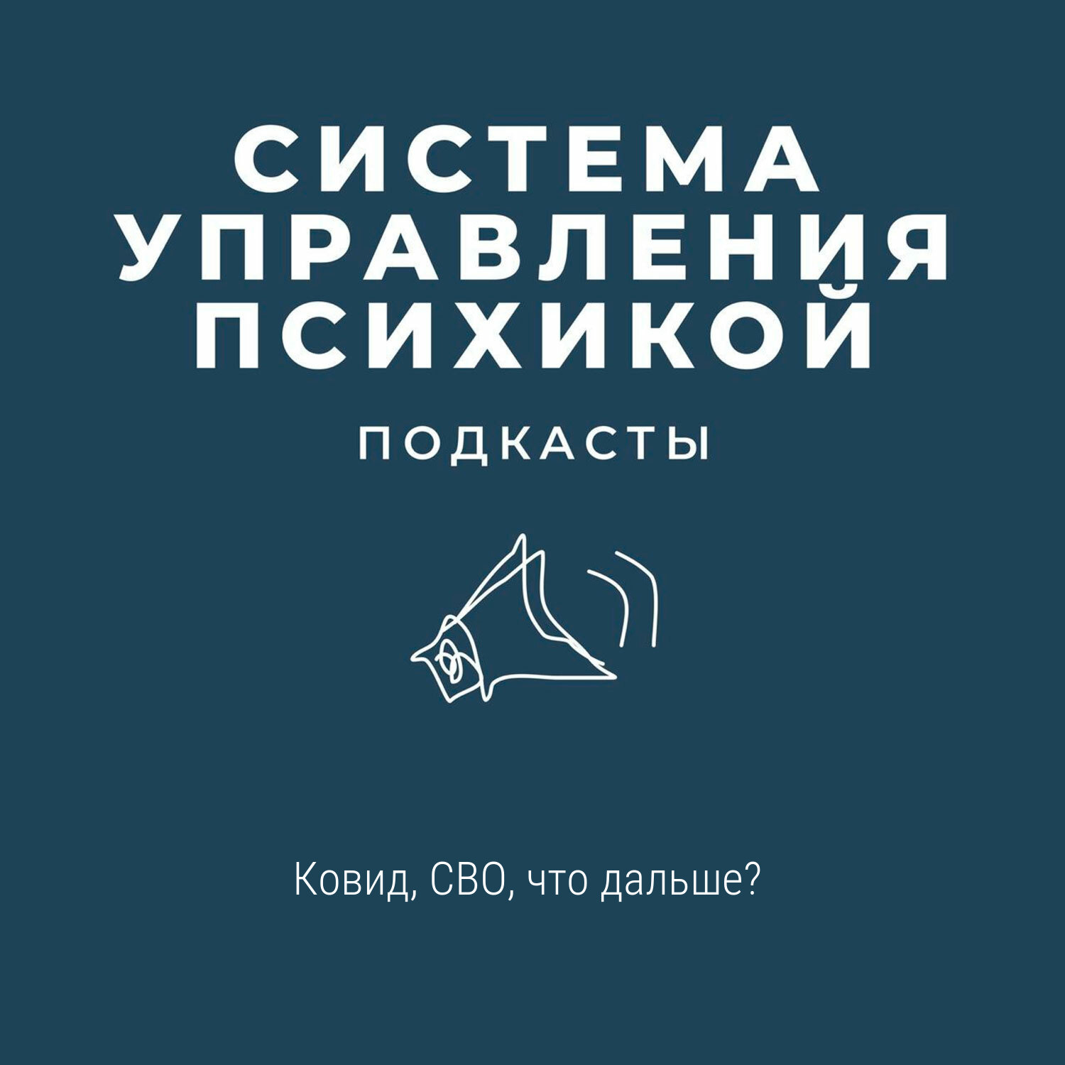 Ковид, СВО, что дальше? episode artwork