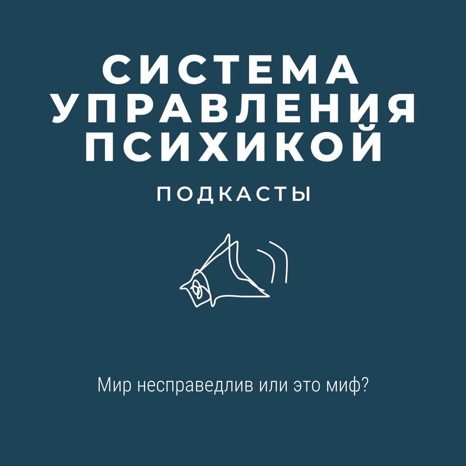 Мир несправедлив или это миф? episode artwork
