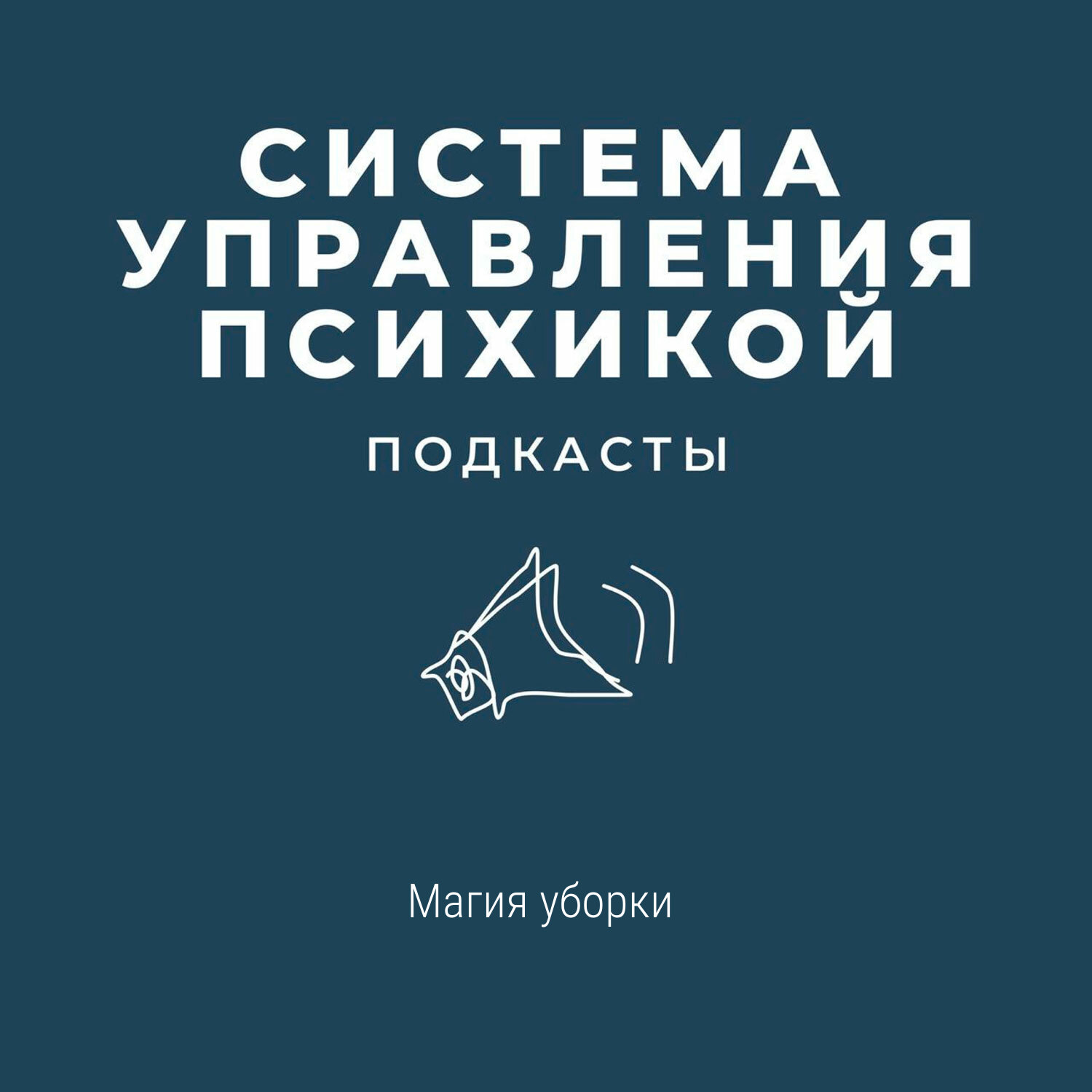 Магия уборки episode artwork